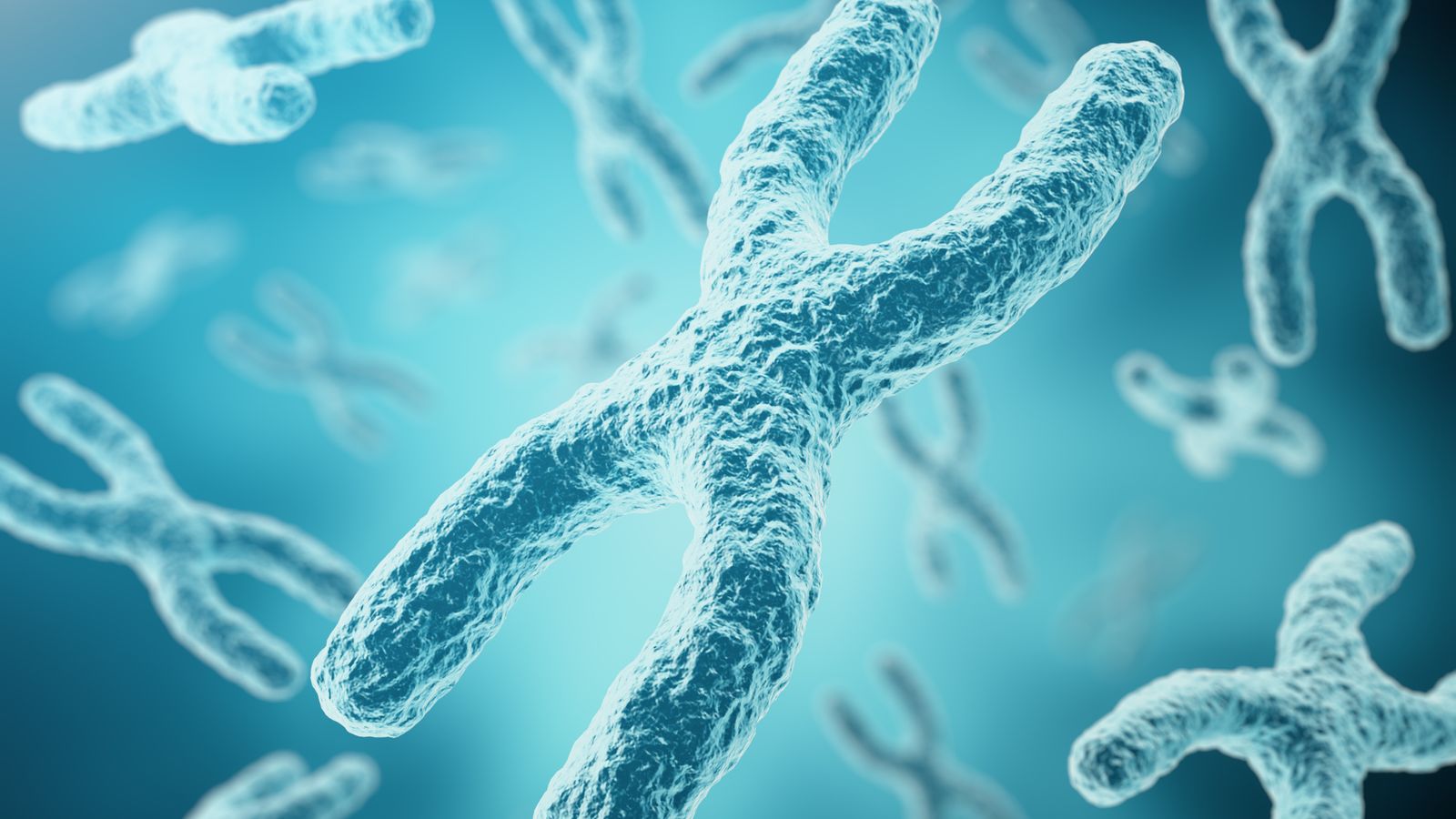 Mystery behind how the X chromosome gets it shape could finally be resolved, UK News